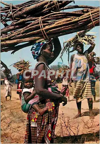 Cartes postales moderne Senegal Porteuses de fagots