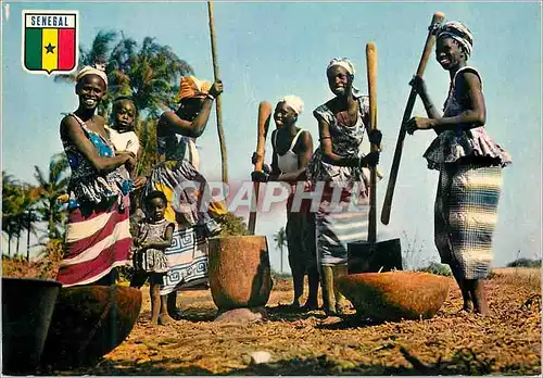 Cartes postales moderne Senegal Scene villageoise