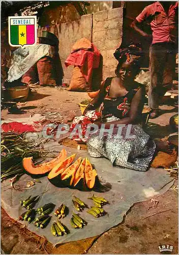Cartes postales moderne Senegal Dakar Scene de marche