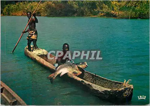 Cartes postales moderne Senegal Peche au Capitaine