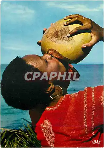 Cartes postales moderne Senegal Lait de coco