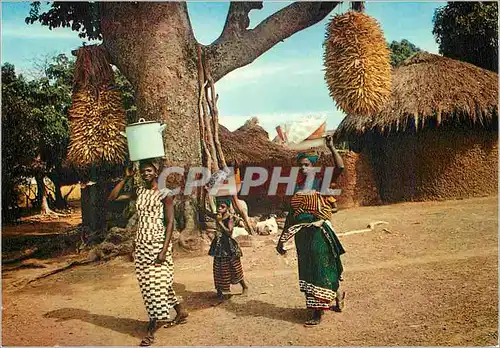 Cartes postales moderne Senegal Depart pour le marche