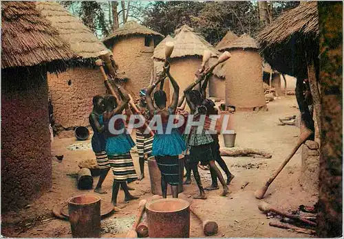 Cartes postales moderne Senegal Groupe de pileuses preparant le repas