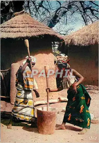 Cartes postales moderne Senegal Preparation du repas