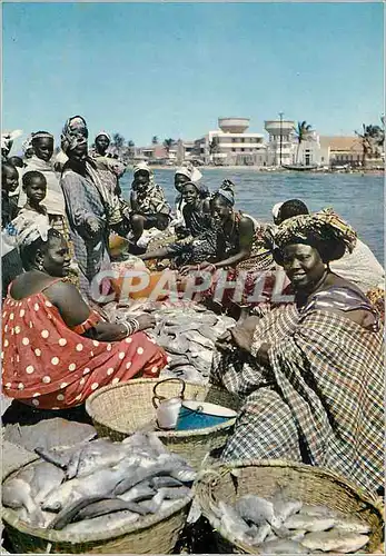 Cartes postales moderne Senegal Marchandises de poissons