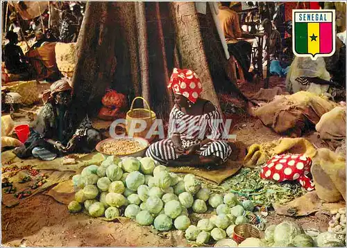 Cartes postales moderne Senegal Scene de marche