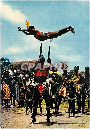 Cartes postales moderne Senegal Danse des couteaux