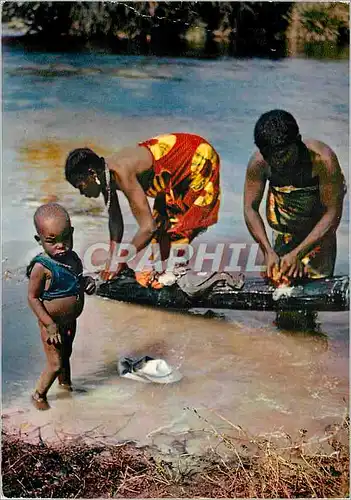 Cartes postales moderne Senegal Lessive dans la riviere
