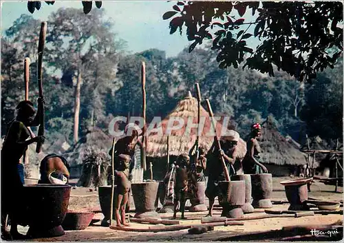 Cartes postales moderne Senegal L'eveil au village