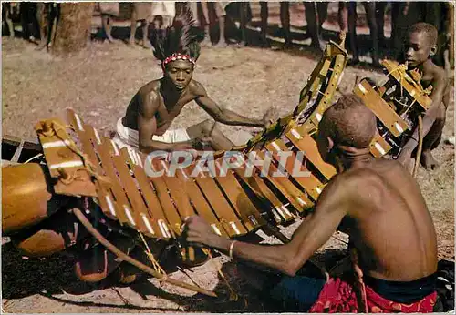 Cartes postales moderne Senegal Joueurs de Balafon