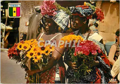 Cartes postales moderne Senegal Vendeuses de fleurs