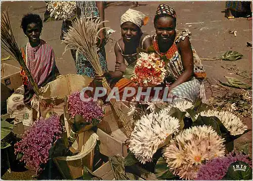 Cartes postales moderne Senegal Marchandes de fleurs