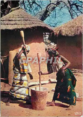 Cartes postales moderne Senegal Préparation du repas