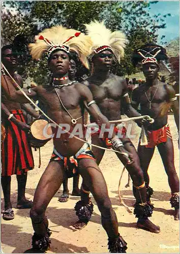 Cartes postales moderne Senegal Danseurs du Groupe Medy