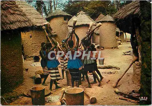 Cartes postales moderne Senegal Groupe de pileuses preparant le repas