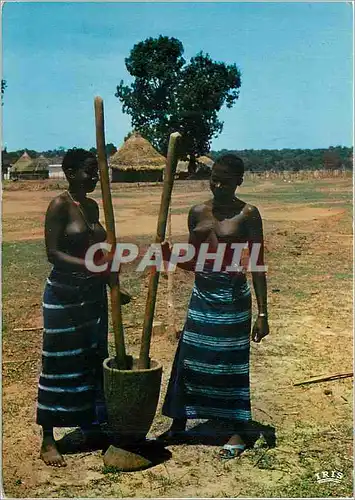 Moderne Karte Senegal Pileuses en pays Bassari