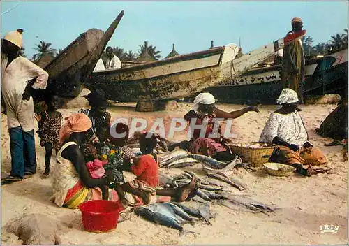 Cartes postales moderne Senegal Marchandes de poissons Bateau