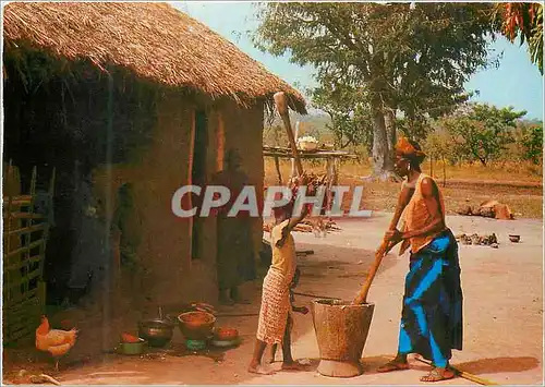 Cartes postales moderne Senegal Preparation du repas