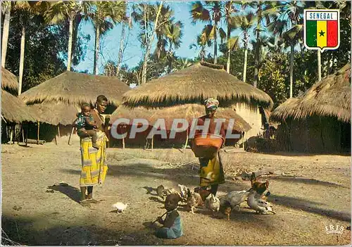 Cartes postales moderne Senegal Casamance Village de Basse-Casamance