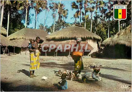 Cartes postales moderne Senegal Casamance Village de Basse-Casamance