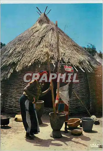 Cartes postales moderne Senegal Pileuses