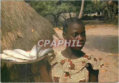 Cartes postales moderne Senegal Marchande de poisson