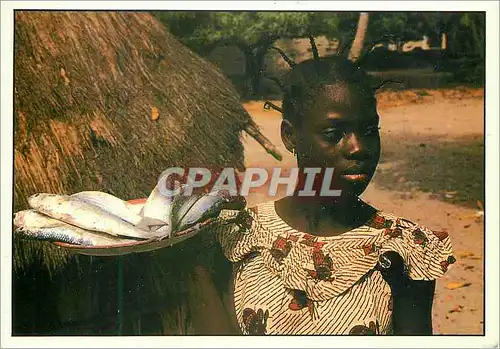 Cartes postales moderne Senegal Marchande de poisson