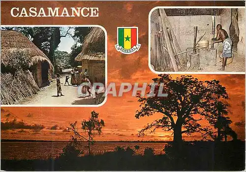 Cartes postales moderne Senegal Casamance Interieur et exterieur de case Diola