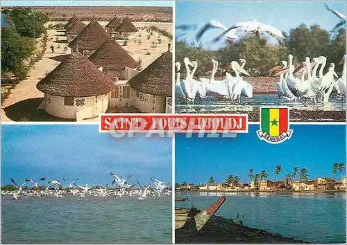 Cartes postales moderne Senegal Ile de Saint-Louis et Parc de Djoudj