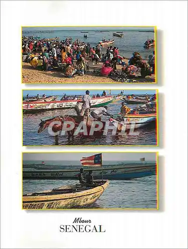 Cartes postales moderne Senegal Mbour Bateaux