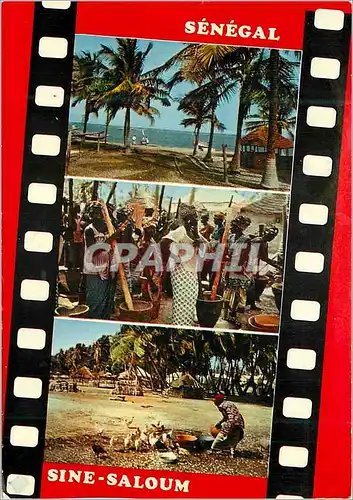 Cartes postales moderne Senegal Vue du Sine Saloum