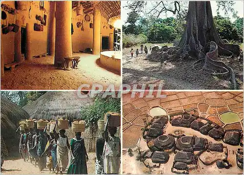 Cartes postales moderne Senegal Vues de Casamance