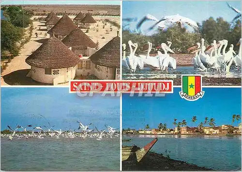 Cartes postales moderne Senegal Il de Saint-Louis et Parc de Djoud