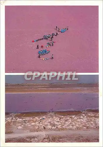 Cartes postales moderne Senegal Le Lac rose a Retba