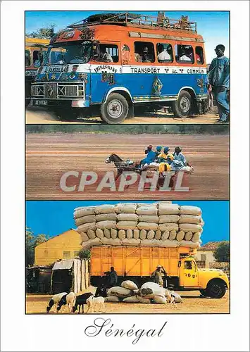 Cartes postales moderne Senegal Transports au Senegal