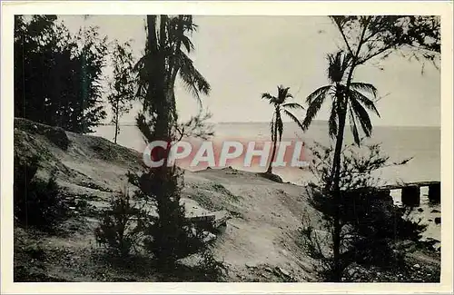 Cartes postales moderne Senegal Dakar Un Coin de la Corniche