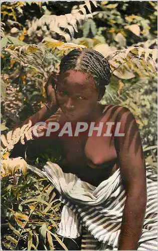 Cartes postales moderne Senegal Jeune Femme