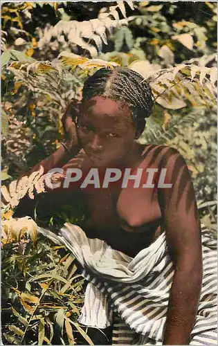 Moderne Karte Senegal Jeune Femme