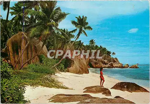 Cartes postales moderne Seychelles Mahe