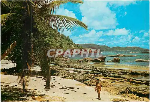 Cartes postales moderne Seychelles Anse Consolation Proslin