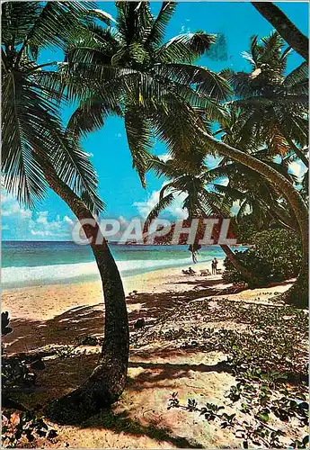 Cartes postales moderne Seychelles Mahe