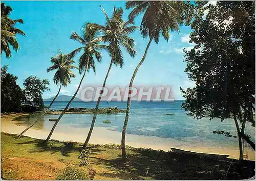 Moderne Karte Seychelles Mahe Petit Port From Fisherman's cove
