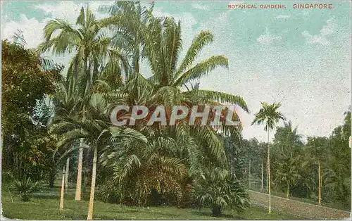 Cartes postales Singapore Botanical Gardens