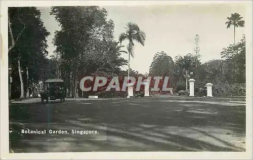 Cartes postales moderne Singapore Botanical Garden
