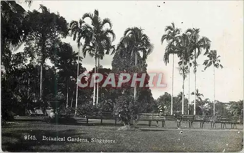 Moderne Karte Singapore Botanical Garden Singapore