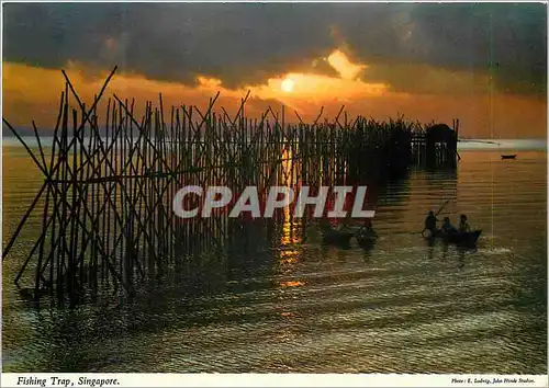 Cartes postales moderne Singapore Fishing Trap