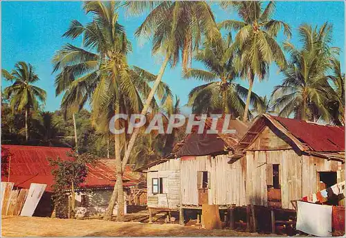 Cartes postales moderne Singapore A Malay Kampong at Seaside in Pasir Panjang Singapore