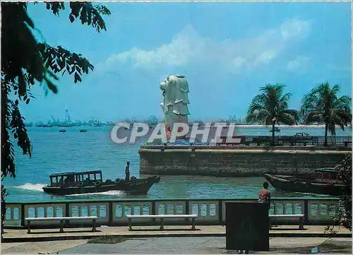 Cartes postales moderne Singapore The Merlion