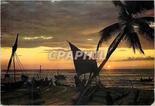 Cartes postales moderne Sri Lanka Ceylon sunset