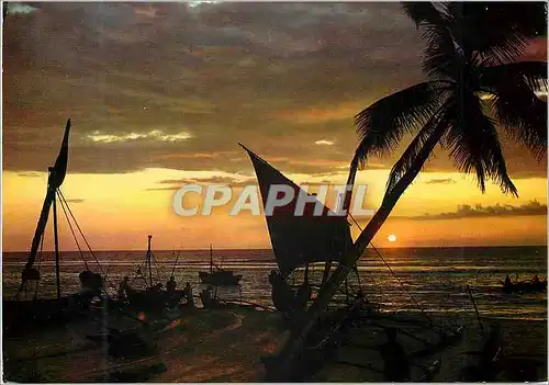 Cartes postales moderne Sri Lanka Sunset in Ceylon